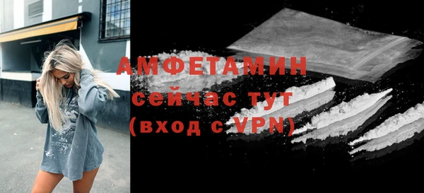 гидра Михайловка