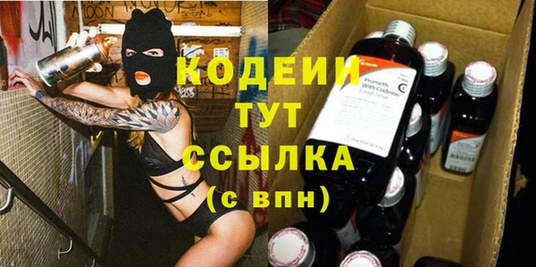 гидра Михайловка