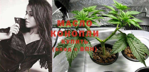 гидра Михайловка