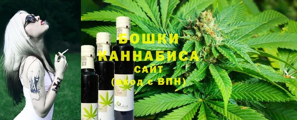 гидра Михайловка
