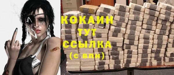 гидра Михайловка