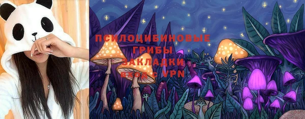 гашиш Михайлов