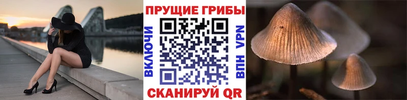 Псилоцибиновые грибы мухоморы  купить   Ленинградская 